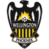 Wellington Phoenix B logo