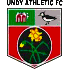 Undy Athletic logo