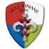 Hull Ionians logo