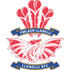Llanelli logo