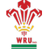 Wales U20 logo