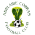Adelaide Cobras logo