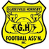 Spirit FC logo