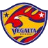 Mynavi Sendai Ladies logo