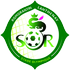 Romorantin logo