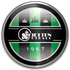 Skjetten logo