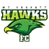 Mount Gravatt logo