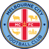 Melbourne City FC Youth logo