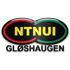 NTNUI logo