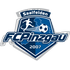Pinzgau Saalfelden logo