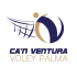 Calcit Volley logo