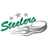 Bietigheim Steelers
