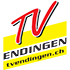TV Endingen logo