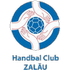 HC Zalau logo