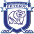 Vitebsk logo