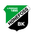 Hoenefoss logo