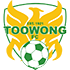 Toowong logo