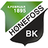 Hoenefoss logo
