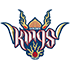 Ryukyu Golden Kings logo