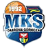 Dabrowa Gornicza logo