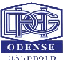 DHG Odense logo