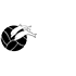 ASV Elite logo