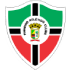 Pinheiro MA logo