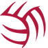 Branik Maribor logo