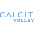 Calcit Volleyball logo