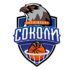 Kharkivski Sokoly logo