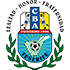 Balonmano Salud Tenerife logo