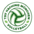 Haching Munich logo