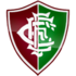 Fluminense PI logo