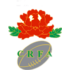 China 7s logo