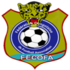 DR Congo U23 logo