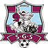 FC Sfintul Gheorghe logo