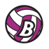 Brezovica logo