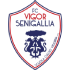 Senigallia logo