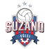 Suzano logo