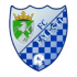 Falesti logo
