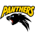 Panasonic Panthers logo
