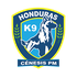 Genesis FC logo