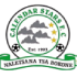 Calendar Stars logo