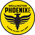Wellington Phoenix logo