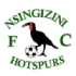 Nsingizini logo