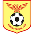 Nam Dinh logo