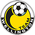 Team Wellington logo