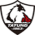 Tatung FC logo