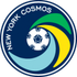 Cosmos logo