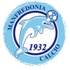 Burton Albion logo